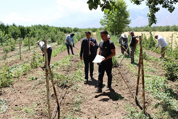 Erzincan Bahçe Kültürleri Araştırma Enstitüsü Müdürü Samet Karataş, meyve koleksiyon