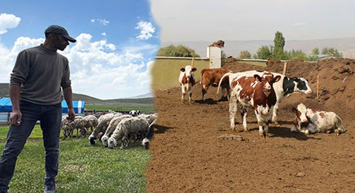 Erzincan İl Damızlık Sığır Yetiştiricileri Birliği ve Türkiye İş Bankası