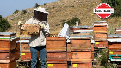 Erzincan’ın bereketli toprakları, 200’den fazla çiçek türüyle eşsiz bir lezzet