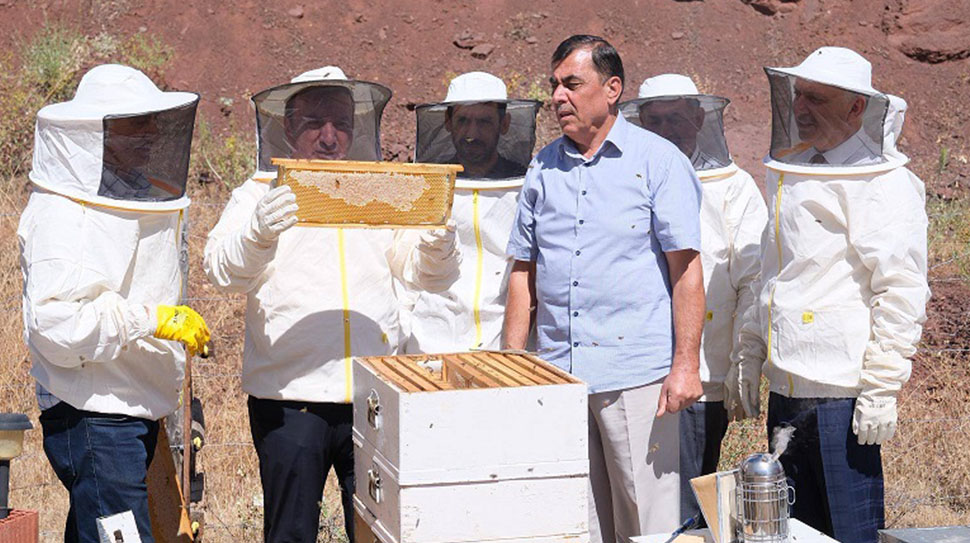Erzincan genelinde 1100 işletmeye ait 107 bin arılı kovanda üretilen