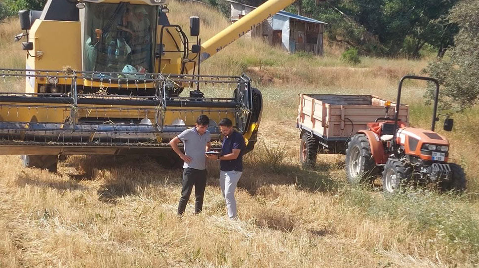 Kemah İlçe Tarım ve Orman Müdürlüğü, ilçede devam eden hububat