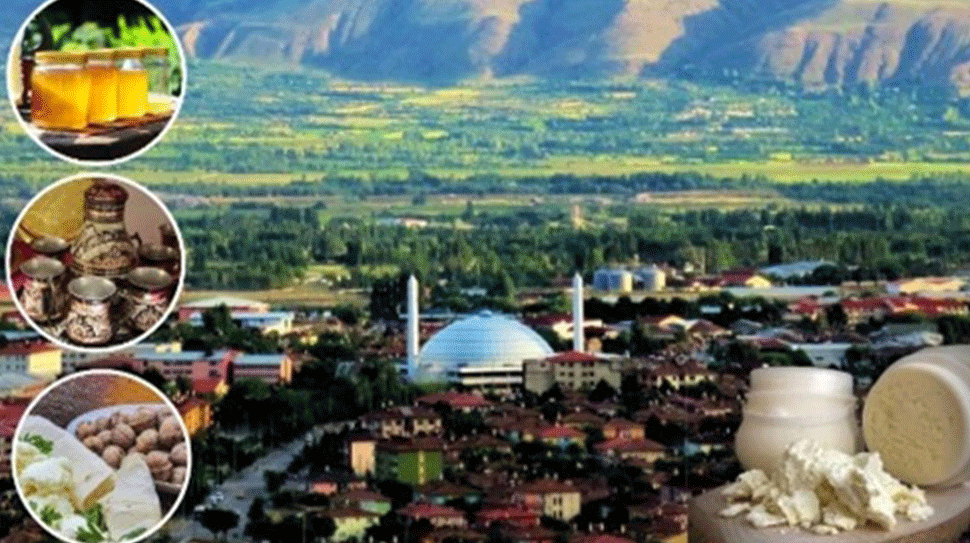 Kültür ve Turizm Bakanlığının maddi katkıları, Erzincan Valiliği ve Erzincan