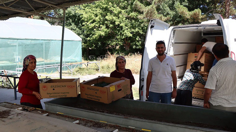 Erzincan Bahçe Kültürleri Araştırma Enstitüsü Müdürlüğü, kadın çiftçilerin üretime katılımını