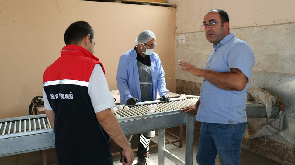 Erzincan Tarım ve Orman İl Müdürü Alper Koçaker, Akyazı Mahallesi’nde