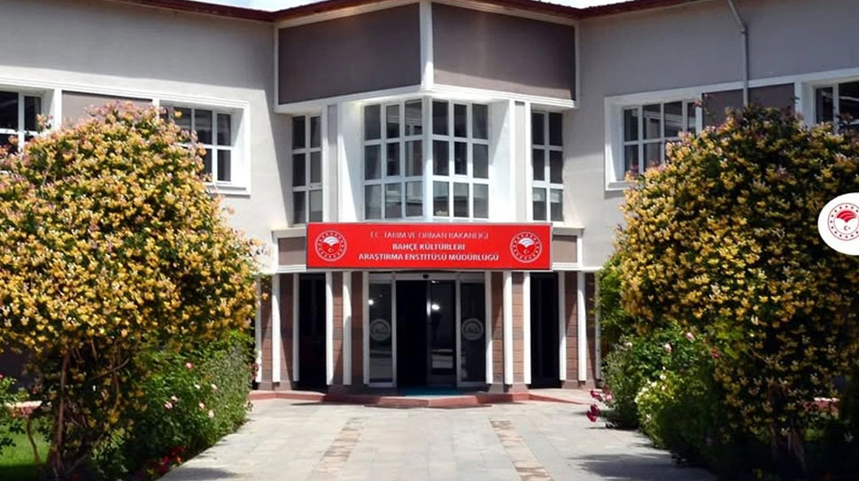  Erzincan Bahçe Kültürleri Araştırma Enstitüsü, 755 elma ağacındaki meyveyi kabala