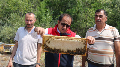 Ağustos ayının gelmesiyle birlikte Erzincan’da arıcılık faaliyetleri yeniden hareketlendi. Türkiye’nin