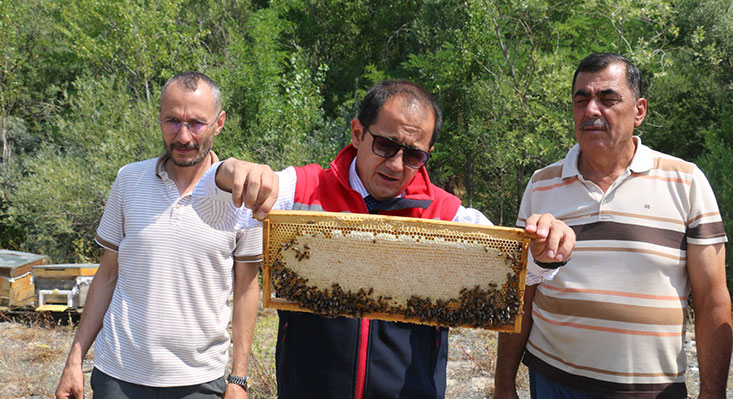 Ağustos ayının gelmesiyle birlikte Erzincan’da arıcılık faaliyetleri yeniden hareketlendi. Türkiye’nin