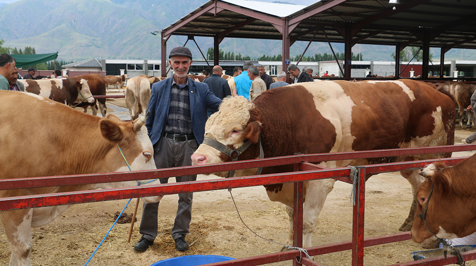 Erzincan’da hayvan sağlığı için uygulanan karantina süreci sona erdi. Ancak