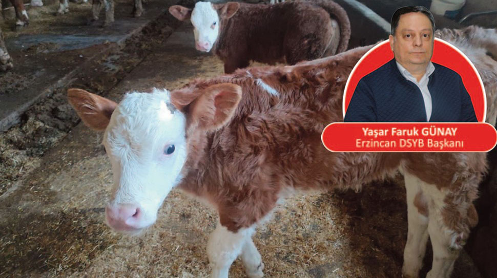 Erzincan Damızlık Sığır Yetiştiricileri Birliği, yılın ilk yedi ayında gerçekleştirdiği