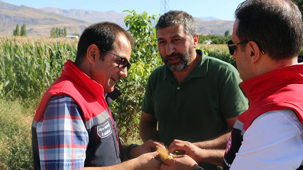 Erzincan’da hayvancılık sektörünün en temel ihtiyaçlarından biri olan kaba yem