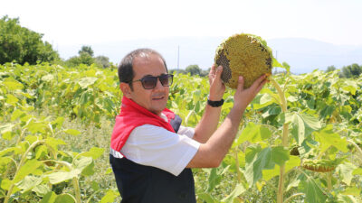 Erzincan tarımında son yıllarda dikkat çeken bir değişim yaşanıyor. Geleneksel