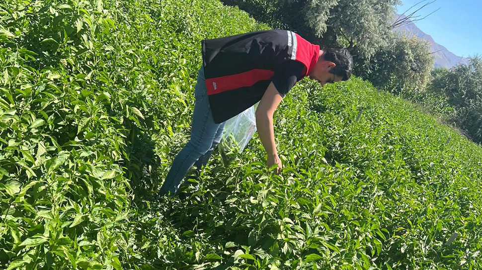 Erzincan Tarım ve Orman İl Müdürlüğü, halk sağlığını korumaya ve