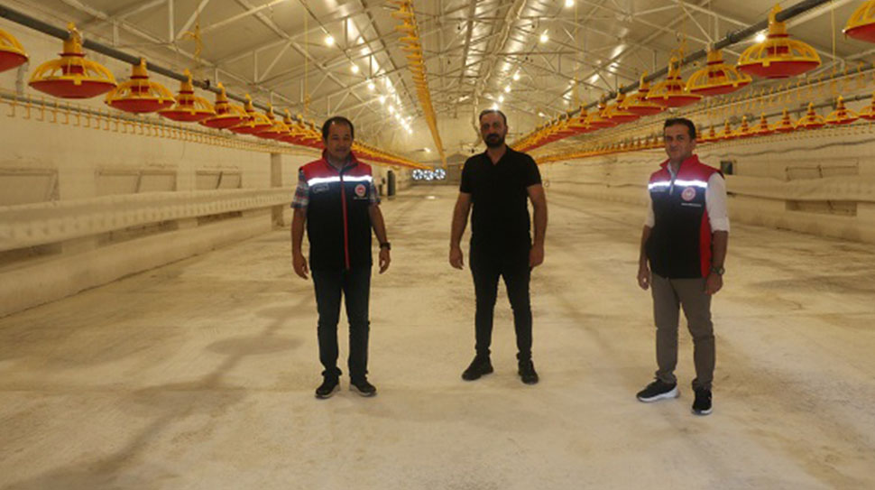 Erzincan’da tarım ve hayvancılığın yanı sıra etlik piliç yetiştiriciliği de