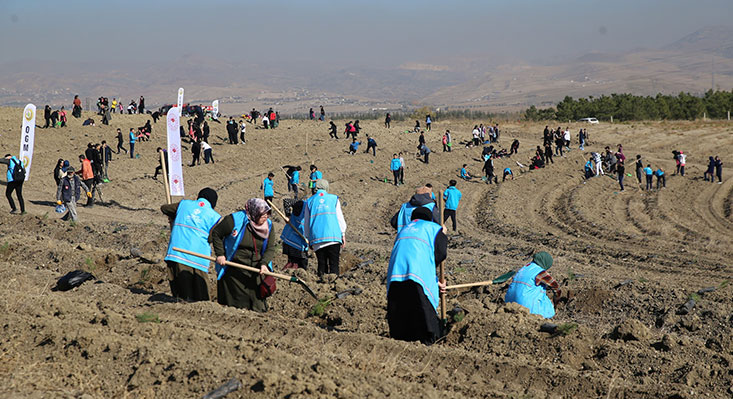 Türkiye Diyanet Vakfı, “1 İyilik 1 Fidan” projesiyle yanan ormanları
