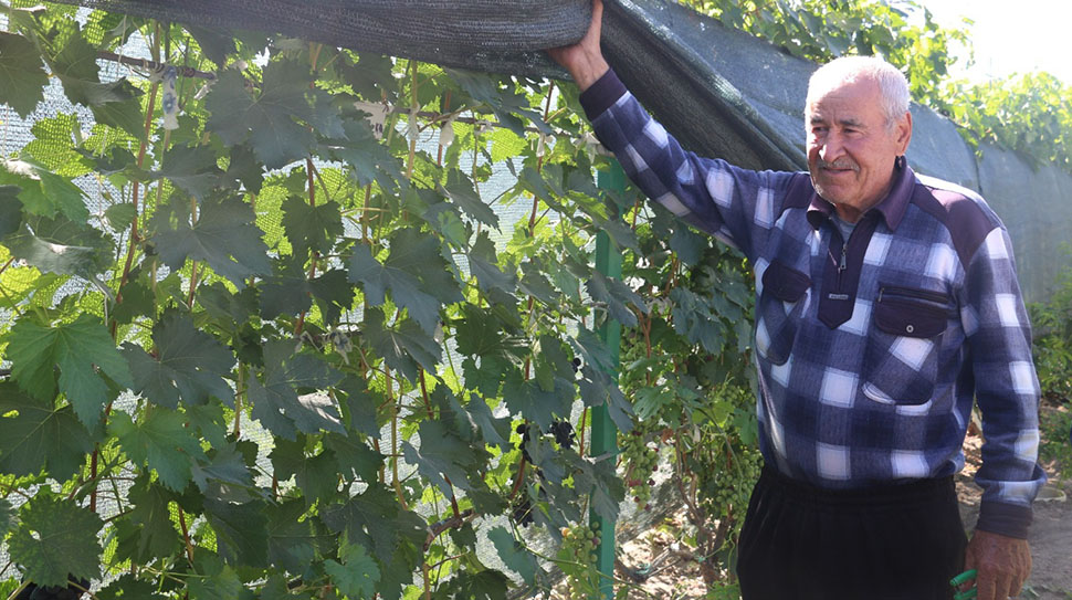 Erzincan’da 75 yaşındaki Faik Binali, Erzincan’ın Üzümlü ilçesinde 300 metrekarelik