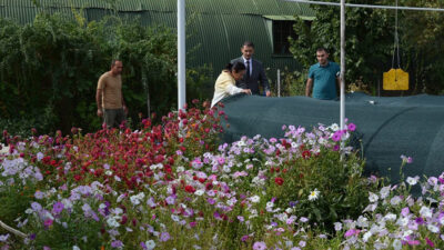 Erzincan Bahçe Kültürleri Araştırma Enstitüsü, tarımsal araştırma ve geliştirme faaliyetlerinin