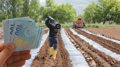 Tarım ve Orman Bakanlığı, çiftçilere yönelik tarımsal destek ödemelerini sürdürüyor.