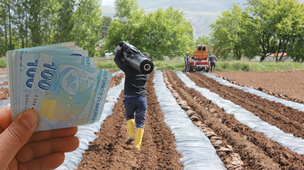 Tarım ve Orman Bakanlığı, çiftçilere yönelik tarımsal destek ödemelerini sürdürüyor.