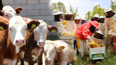 1 Ocak 2025’ten itibaren hayvancılık ve su ürünleri sektöründe yeni