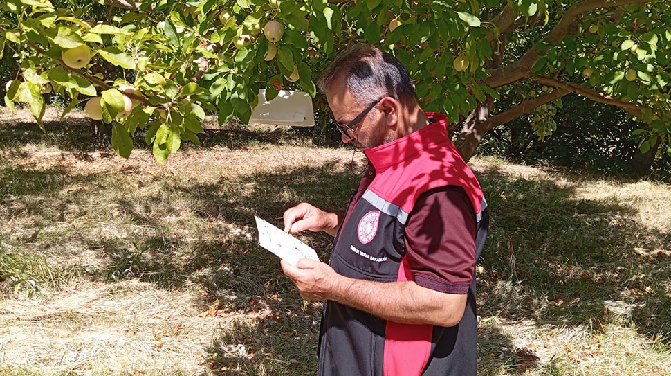 Tarım ve Orman İl Müdürlüğü ekipleri, Yaylabaşı Beldesi’nde gerçekleştirdikleri saha
