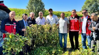 Gümüşhane’nin bereketli topraklarına sahip Kelkit ilçesinde, bu yılki fasulye hasadının