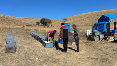 Otlukbeli İlçe Tarım ve Orman Müdürlüğü ekipleri, ilçe merkezi ve