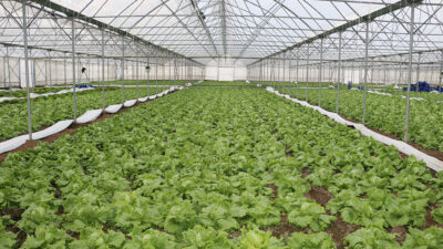 Tarım ve Kırsal Kalkınmayı Destekleme Kurumu (TKDK) Erzincan İl Koordinatörlüğü,