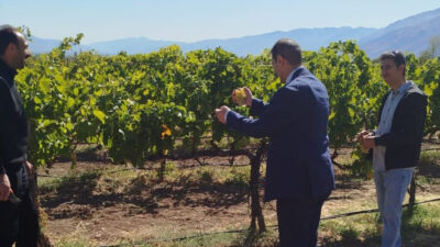 Bahçe kültürleri alanında sürdürülen Ar-Ge çalışmaları yerinde incelendi. Bilimsel projelerin