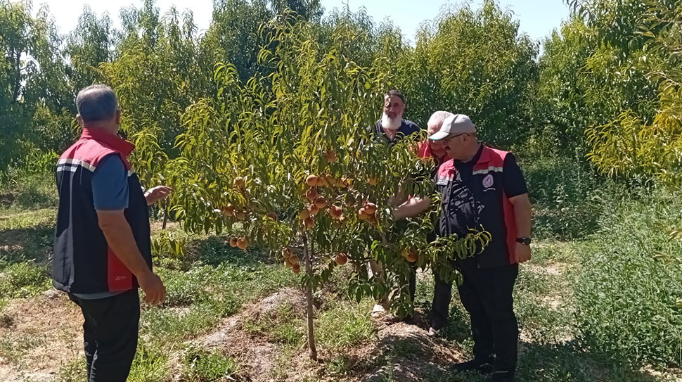 Erzincan Tarım ve Orman İl Müdürlüğü ekipleri, Üzümlü ilçesinde bir