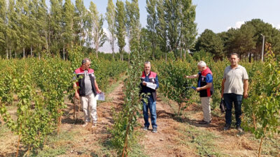 Erzincan Tarım ve Orman İl Müdürlüğü, bitkisel üretimde kalite ve