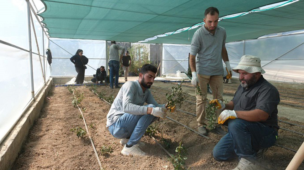 Erzincan Belediyesi tarafından şehir estetiğini ve üretimi desteklemek amacıyla kesme