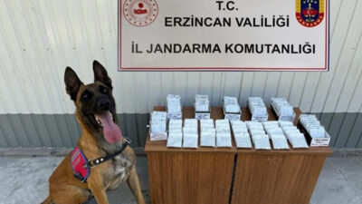 Erzincan İl Jandarma Komutanlığı, 2025 yılı Ağustos ayında gerçekleştirdiği çok