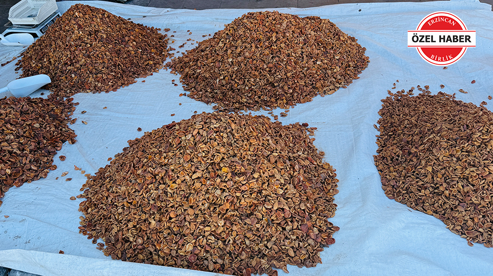 Kış hazırlıklarını sürdüren vatandaşlar, pazarlarda kuru kayısı fiyatlarını öğrenince adeta