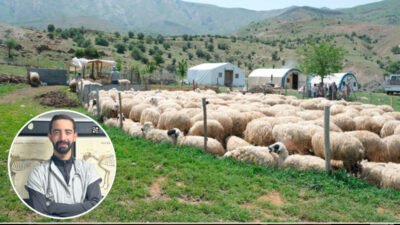 Yayla sezonunun sona ermesiyle birlikte hayvanların ahırlara indirildiği bu dönemde,