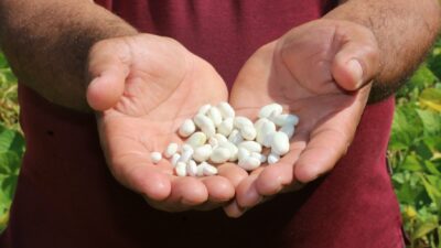 Tarım ve Orman Bakanı İbrahim Yumaklı, Bitlis’te katıldığı kuru fasulye