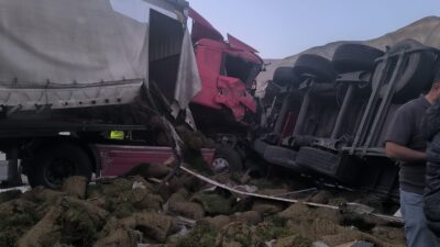 Erzincan’da seyir halindeki 2 tırın çarpışması sonucu meydana gelen kazada