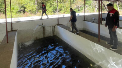 Kemaliye’de faaliyet gösteren Türkaylar ve Pınar Alabalık işletmeleri, İlçe Tarım