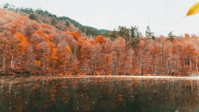 Tarım ve Orman Bakanlığı, Doğa Koruma ve Milli Parklar Genel