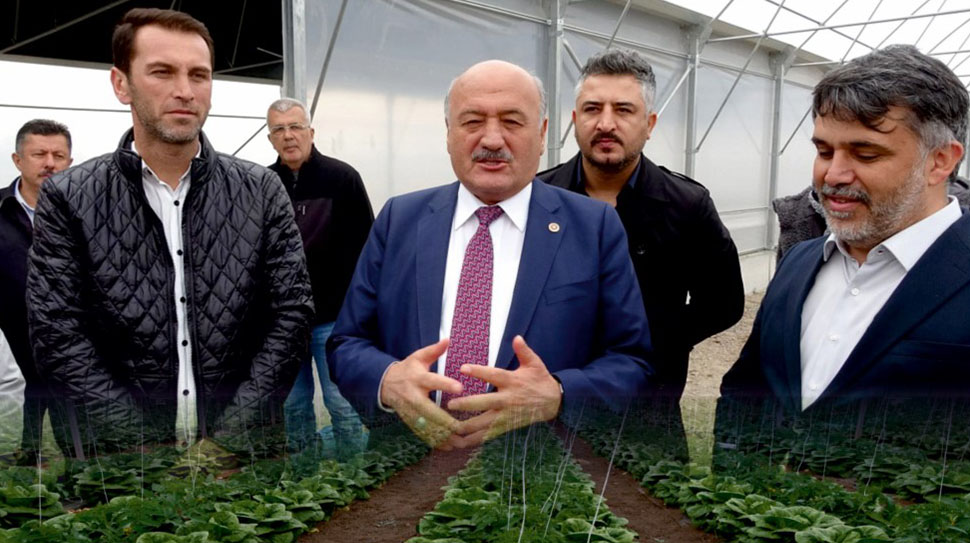 Erzincan’da tarımda modern dönüşümün simgesi olacak 500 dönümlük Toplu Sera