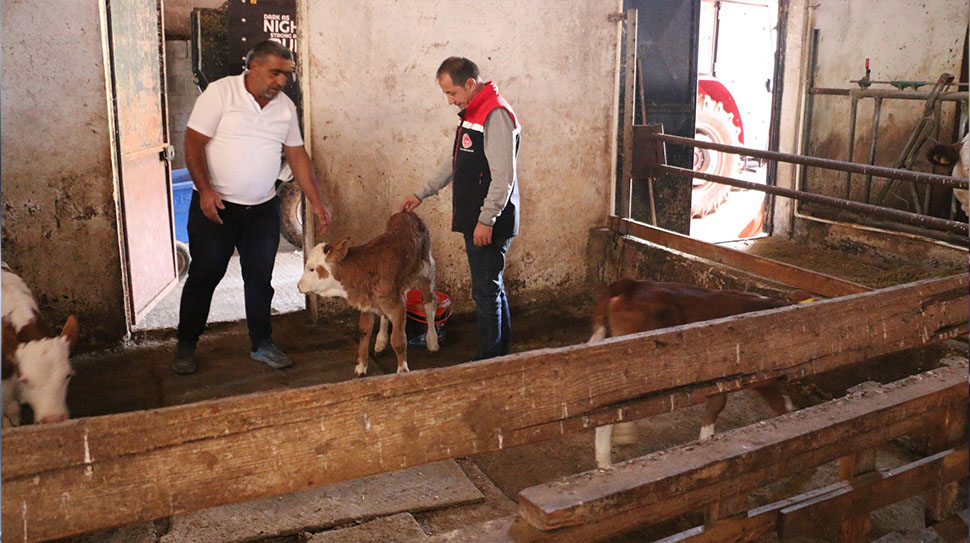 Erzincan Tarım ve Orman İl Müdürü Alper Koçaker, Buğdaylı Mahallesi’nde