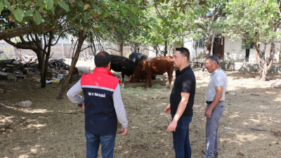 Tarım ve Orman Bakanlığı’nın “Kırsalda Bereket” projesinden yararlanan genç çiftçi