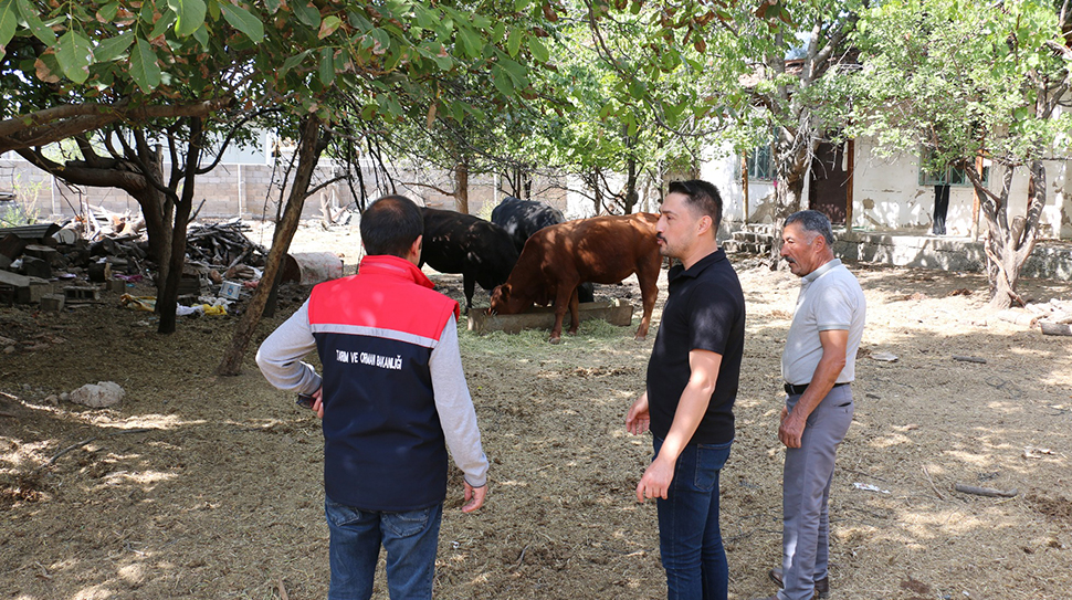 Tarım ve Orman Bakanlığı’nın “Kırsalda Bereket” projesinden yararlanan genç çiftçi