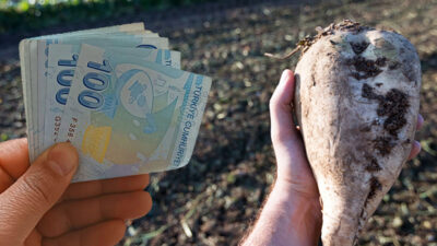 Tarım ve Orman Bakanlığı, 2025-2026 üretim yılı şeker pancarı alım