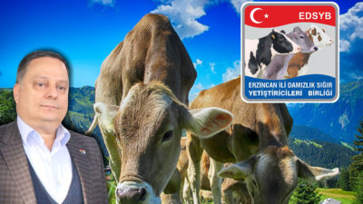 Erzincan Damızlık Sığır Yetiştiricileri Birliği, Tarımsal Amaçlı Örgütlerin Derecelendirilmesine İlişkin