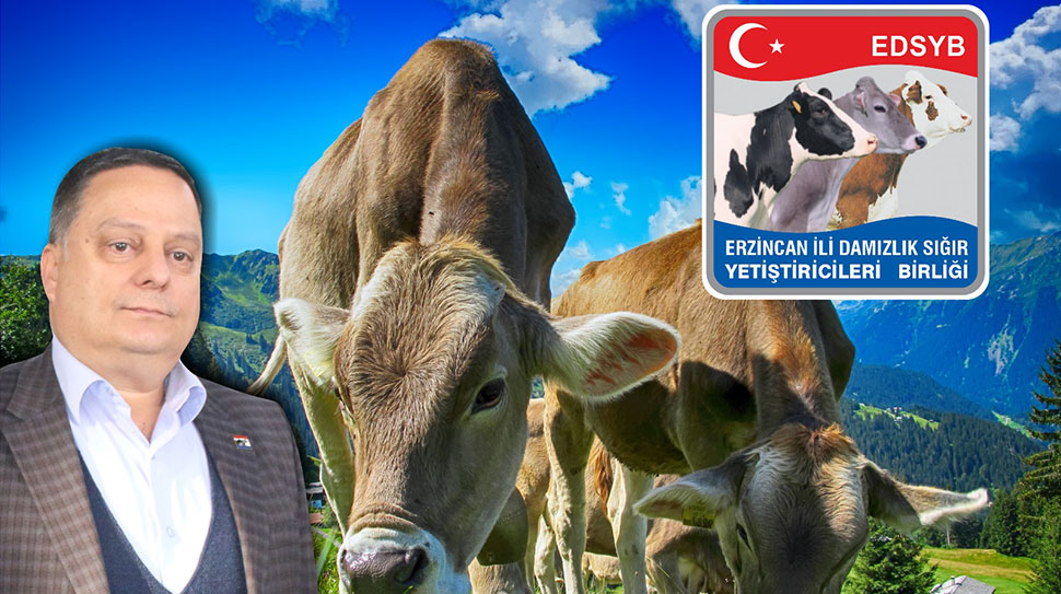 Erzincan’ın Tek A Sınıfı Tarımsal Örgütü DSYB Oldu Erzincan Damızlık Sığır Yetiştiricileri Birliği, Tarımsal Amaçlı Örgütlerin Derecelendirilmesine İlişkin