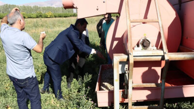 Erzincan Bahçe Kültürleri Enstitüsü’nde kurufasulye hasadı başladı. Verimli geçen 2025