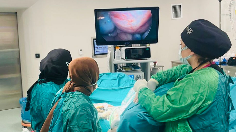 Erzincan Binali Yıldırım Üniversitesi Mengücek Gazi Eğitim ve Araştırma Hastanesi,