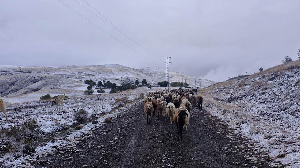 Erzincan’da etkili olan soğuk hava, özellikle yüksek rakımlı köylerde kar