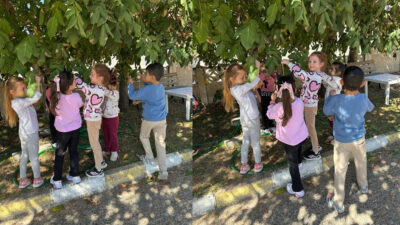 Üzümlü Ana Okulunda” Ailemle Eğitim Yolculuğum” projesi kapsamında okulun öğretmen,
