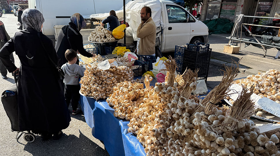 Sarımsak, Sonbaharın Gözdesi Oldu Sonbaharın gelmesiyle bağışıklık güçlendirici gıdalara talep artarken, doğal şifa deposu